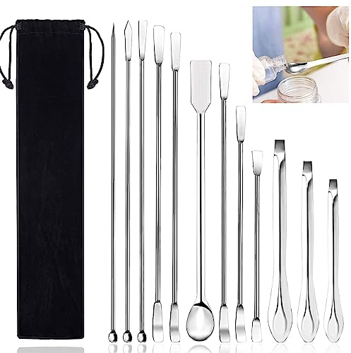 DTYGUIXE 12 Stück Labor Spatel Edelstahl Lab Löffel 2-in-1 Set | Edelstahl Mikrospatel Mit Tasche, Für Labor, Chemie, Reagenzien, Pulver, Pigmente, Polymerton Und Präzises Dosieren