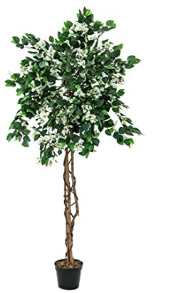 Künstlicher Bougainvillea Baum mit weißen Blüten, Höhe 150cm mit Zementfuß - Kunstpflanze Kunstbaum künstliche Bäume Kunstbäume Gummibaum Kunstoffpflanzen Dekopflanzen Textilpflanzen Textilbäume Pflanzen aus Textil Kunststoffpflanzen Plastikpflanze Kunstpflanzenbaum Kunstblumen Deko Blumen