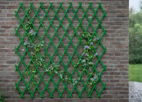 BIANCHERIAWEB Ausziehbares Rankgitter aus PVC für Kletterpflanzen Zaun Garten Balkon 100 x 100 cm grün