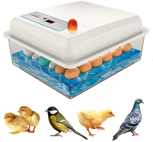  Brutautomat Vollautomatisch 20 Eier, Vollautomatisch, mit Wasserfüllfunktion, Anzeigebildschirm, Automatischer Drehung, Hühnerstall Brutmaschine Brütende Hühner,Wachtel (20 Eier)