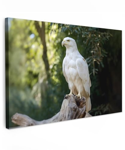 MuchoWow© Leinwand Bilder Wanddeko Wohnzimmer Aesthetic Room Decor Deko