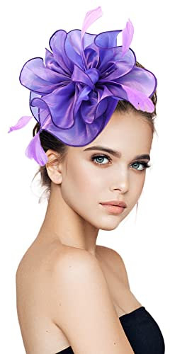 Fascinator Damen, Fascinator Damen Hut Blume Mesh Federn Kopfschmuck für Tea Party Flower Federn Kopfbedeckung Hochzeit Cocktail Stirnband Haarschmuck Elegant Braut Bankett Headwear