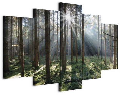 murando - Akustikbild Schallschutz Baum Natur, 200x100 cm, 5-teilig, Büro | Verbessert Raumakustik, reduziert Hall, ideal fürs Büro oder Wohnzimmer, hochwertige Verarbeitung, schnelle Montage, stilvoll