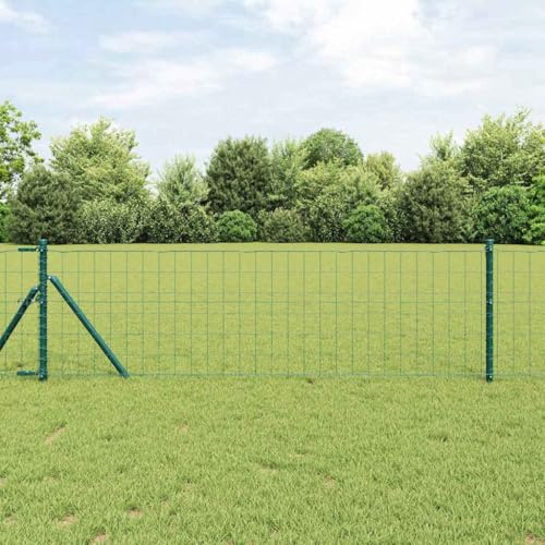 Eurozaun Rouleau de clôture de jardin en fer revêtu de PVC résistant aux intempéries Vert 0,6 x 25 m Pour jardin, terrasse, délimitation durable