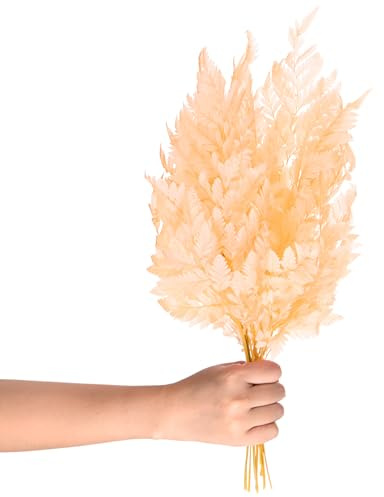 M METERXITY 10 Stück Farn, 15 Natürliche getrocknete Grünpflanzen mit Stielen für Hochzeitsgirlandensträuße / Heimparty / DIY-Handwerksdekorationen, getrocknete Pflanzen [Beige]