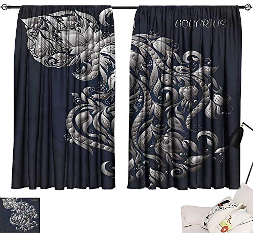 Jinguizi Bedroom/Living Darkening Curtains Zodiac,Aquarius Astrology,Night Curtain Kids W84 x L72