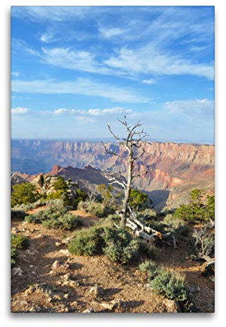 Premium Textil-Leinwand 60 x 90 cm Hoch-Format Erleben, Leinwanddruck von Nadine Büscher