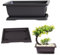 Elegante vaso per bonsai color viola con design cavo multidirezionale (vassoio rettangolare da 29)