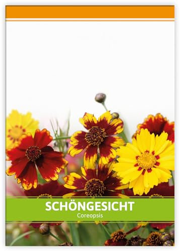FLORTUS Mädchenauge als Gastgeschenke | Blumensamen als Dankeschön Geschenke, Mitgebsel & Werbegeschenke | Schöngesicht Blumen