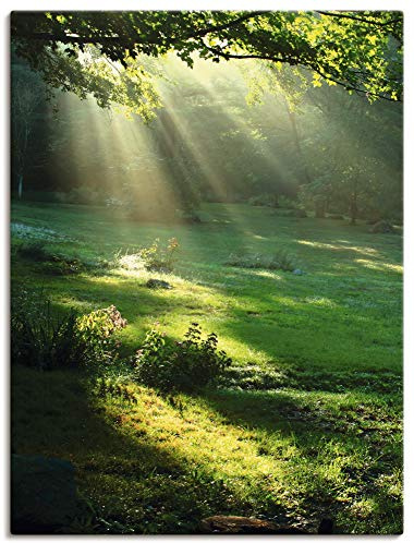 ARTLAND Wanddeko Leinwand Bilder Wandbild 60x80 cm Natur Landschaft Wald Sonne Wiese Landhaus Modern T5XX