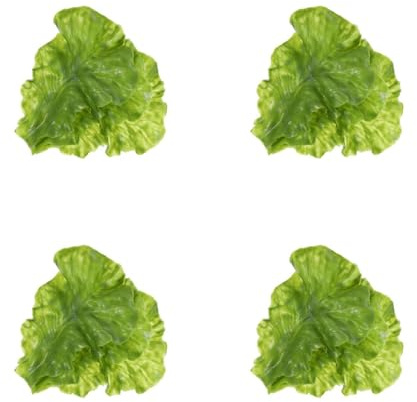 Amosfun Ornement Feuille De Laitue Réaliste 12 Pièces Modèles Simulation De Légumes Décor Cuisine Restaurant Accessoire Photo Éducatif