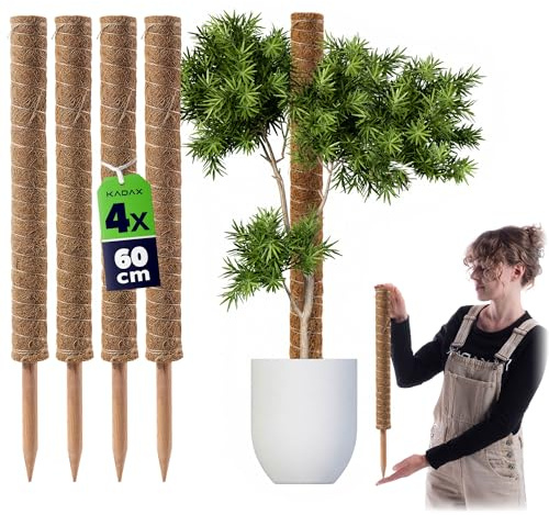KADAX Asta di cocco da 60 cm per piante da interno, 4 pezzi, asta in fibra di cocco per un supporto sicuro per piante, asta muschio per piante rampicanti, supporto per piante rampicanti Monstera, asta