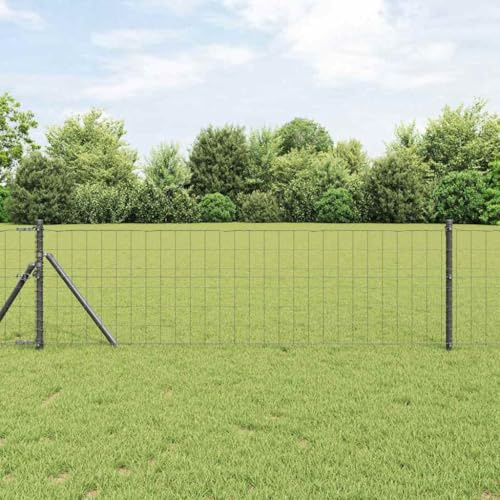 Eurozaun Clôture en fer enduit de PVC robuste pour jardin et terrasse, brise-vue durable, résistant aux intempéries 0,4 x 25 m