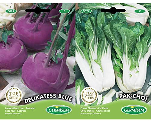 Germisem Delikatess Blue Semillas de Cohlrabi 2 g, EC3029 & Pak Choï Semillas de Col Chino 3 g (EC3027)