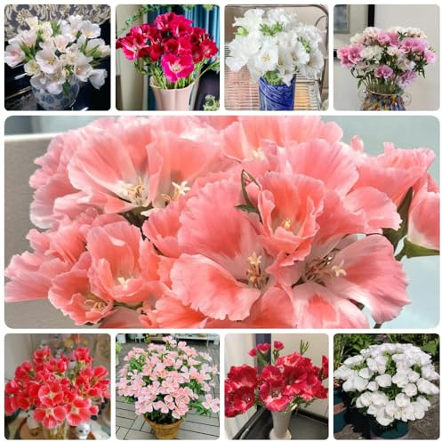 Semillas de azalea de verano, de jardín de rocas resistentes invernaderos de balcón semillas de pradera de mariposas exóticas 150pcs