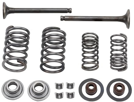 GOOFIT Valvole d'aspirazione e Valvole di scarico primavera Sigilli staminali sostituzione per GY6 50cc ATV Quad Dirt Bike & Go Kart