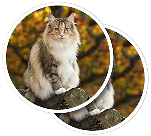 Vinyl Round Stickers (Set of 2) 10cm - Norwegian Forest Cat Forest Animal for Laptops, Tablets, Luggage, Scrap Booking, Fridges #51579