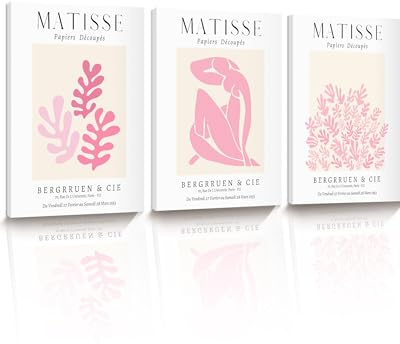 HesenDot Abstrakte Matisse Rosa Bilder mit Rahmen 30x40cm, 3 Stück | A3 Minimalistische Leinwanddrucke, Moderne Wand Dekoration für Wohnzimmer Schlafzimmer Flur Bad Büro