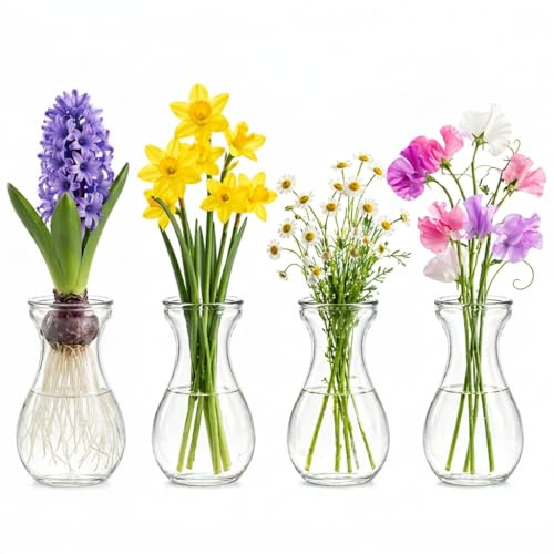 ULTECHNOVO 4Pcs Clear Hyacinth Bulb Vases - 14cm Tall Glass Hydroponic Bud Vases for Forcing Bulbs - Small Transparent GlassVases for Flowers, Roots Growth Display, Wedding Table Decor & Gift