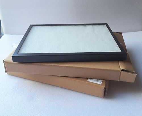 Sammlerbedarf Barleben 2 Stück Sammelvitrine, Ordenvitrine, Schaukasten - Groß - mit Echtglasscheibe, Schwarzer Rahmen, ca. 41 x 31 x 2,5 cm, Weißes Füllmaterial, 4 Stahl - Stifte liegen lose bei