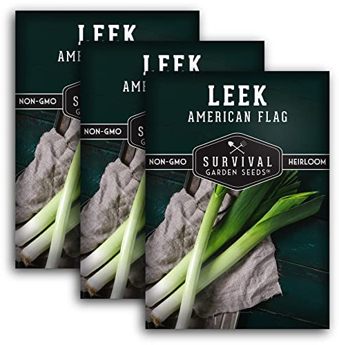 Survival Garden Seeds - Large American Flag Leek Seed for Planting - 3 Packs with Instructions to Plant and Grow Flat Leaved Blue Green Alliums in Your Home Vegetable Garden - Non-GMO Heirloom Variety