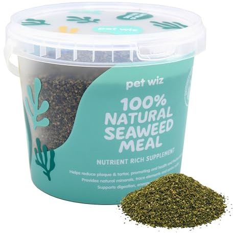 Pasto di alghe 100% biologico per cani, aiuta a stimolare la digestione, bilanciare le carenze nutritive e aiuta la pigmentazione, 1 kg, prodotto nel Regno Unito.