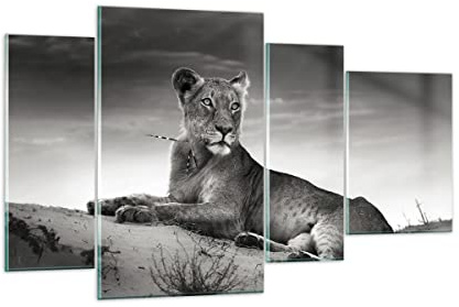 ARTTOR Quadro su Vetro 120x70 cm Stampe da Parete Africa Bianco e Nero 3165 | cinghiale Natura Femmina Quadro Decorativo Grande Decorazione Murale Soggiorno Arte da Parete Decorazione da Parete ARTTOR