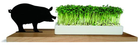 Side by Side Kresseschale smart n Green Schwein 40053S