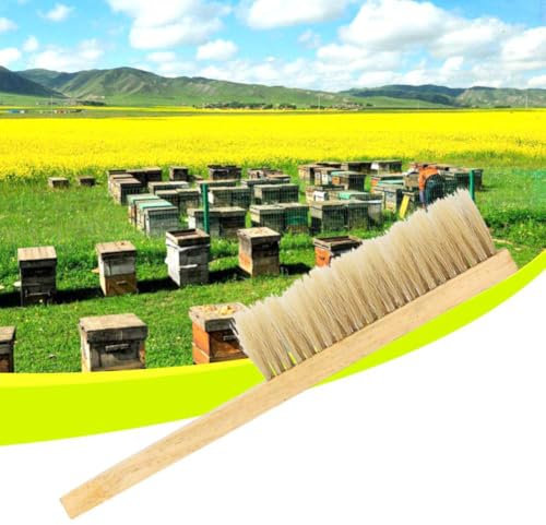 16 Holz Imkerei Pinsel, Doppelreihige Bienenbürste Weiche Kehrbürsten Schwein Borsten Schachtelhalm Hornisse Reinigungswerkzeug, Für Imker Bienenstock Reinigung Ausrüstung