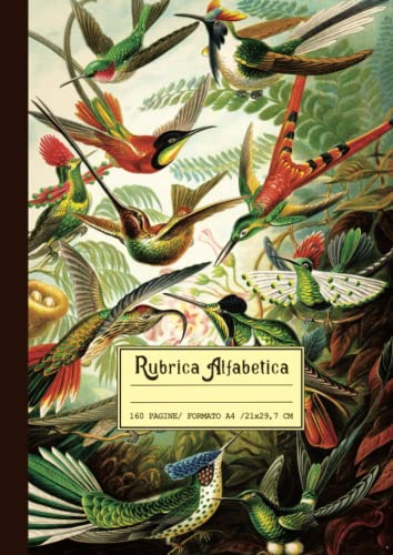 Rubrica Alfabetica quaderno A4 righe: Grande formato 21x29.7 cm, 160 Pagine con riferimenti per ogni lettera | Bella copertina retrò e vintage di Ornitologia, idea regalo tema degli uccelli.