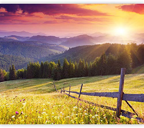 murando PREMIUM Fotomurales Paisaje Montanas 350x256 cm Papel pintado tejido no tejido Decoración de Pared decorativos Murales moderna de Diseno Fotográfico Oficina Pasillo - Naturaleza c-B-0538-a-a