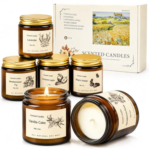 Aromatherapy Candles in Glass Jars with Cinnamon Apple,Vanilla Cake,Lavender,Amber Scented Candles Gifts for Women Soy Wax Candle for Staff,Couples,Mum,Friend Thank You Candle Female Present Ideas