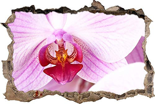 3D-Effekt Wandtattoo Aufkleber Durchbruch selbstklebendes Wandbild Wandsticker Stein Wanddurchbruch Wandaufkleber Tattoo,wunderschöne Rosa Orchidee,Größe:70x110cm