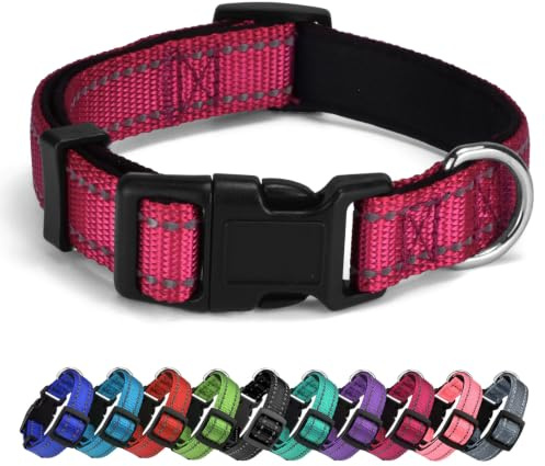 AUDWUD Collare in nylon spesso,collare classico per cani regolabile in più colori,adatto per cani di piccola,media e grande taglia,4 taglie
