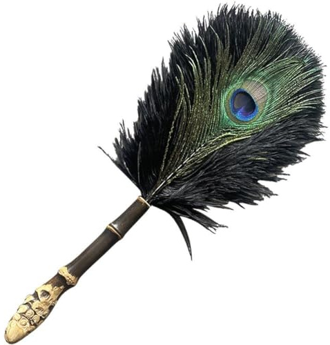 Muteitt Plumeau pour Le Nettoyage, Nettoyeur De Meubles sans Rayures, Mini Brosse À Poussière en Plumes De Paon avec Manche en Bois, Outil De Dépoussiérage Domestique
