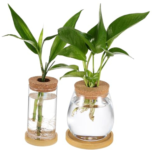 ORFOFE 2 pièces Vase Hydroponique Verre Borosilicate Vase Propagation avec Bouchon Liége et Plateau Transparent pour Plantes Intérieur Système sans Terre Facile à Entretenir