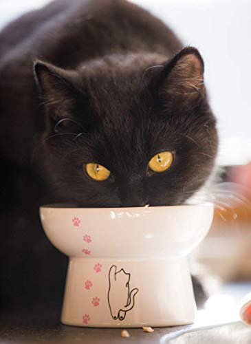 Erhöhte Katzennapf, aus Porzellan, zur Vorbeugung von Rückfließen, Stressfrei, klein bis mittelgroß, Sicherheitswahl für Ihr Haustier, Superior für nasse und trockene Lebensmittel.