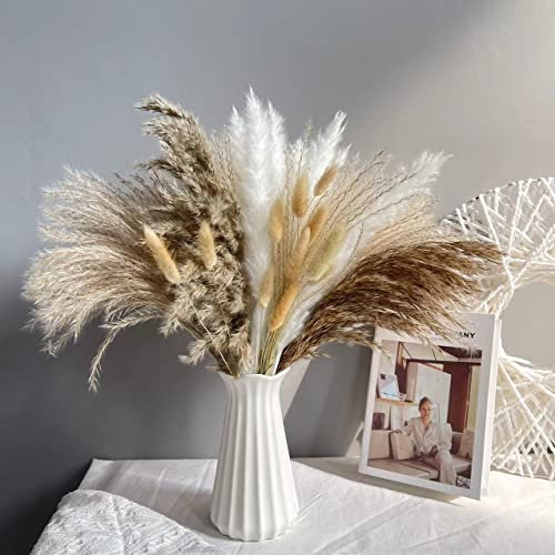 Natural Dried Pampas Grass Bouquet, 72 Pcs Fluffy Decor Artificial Phragmites Dried Flowers, Swinging DIY Boho Plant for Floral Arrangements Decorations