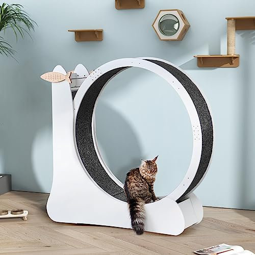 SogesHome Laufräder für Katze Hunde Haustier Kleintiere Groß Smooth Katzenlaufrad Laufrad für Heimtraining Trainingsrad aus Holz mit Kratzpad für Katzen