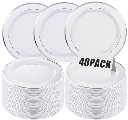 LDXDRU 40 Pack 10 Inch Plastic Dinner Plates - White and Silver Round Party Serving Platters for Weddings, Birthdays, Picnic Parties (26cm)