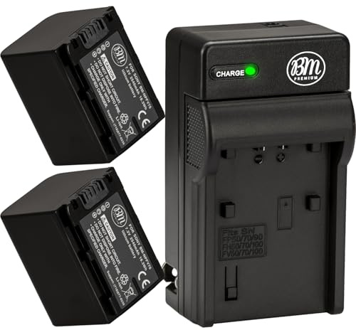 BM 2 NP-FV70 Batteries and Charger Kit for Sony FDR-AX53 FDR-AX700 HDR-CX455/B HDR-CX675/B HDR-CX900 HDR-PJ340 HDR-PJ540 HDR-PJ670/B HDR-PJ810 FDR-AX33/B FDR-AX100 Handycam Camcorder