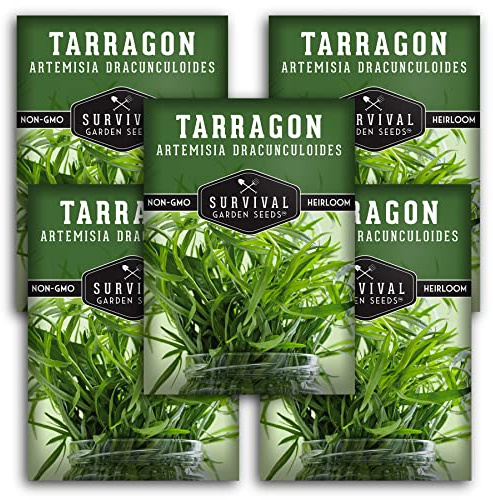 Russian Tarragon Seeds for Planting - Plant & Grow Big Flowering Herbs in Your Home Vegetable Garden - Non-GMO Heirloom Variety - Survival Garden Seeds (5 Packs)