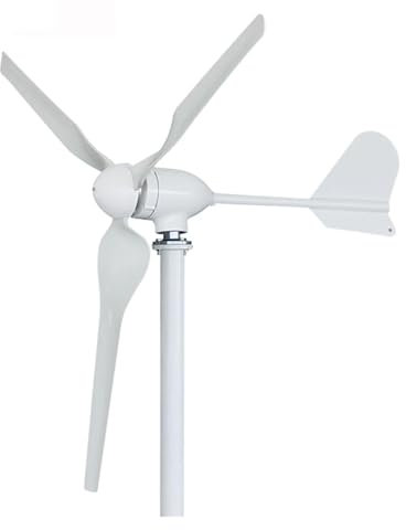Turbina aerogeneradora doméstica de 2KW, 2000W, 12V, 24V, 48V, turbina aerogeneradora Horizontal con inversor de controlador MPPT Baja velocidad inicial para el hogar(Turbine with Control,24V_2000W)