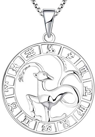 YL Silber Steinbock Halskette-925 Sterling Silber Horoskop Sternzeichen 12 Konstellation Anhänger Halskette für Damen