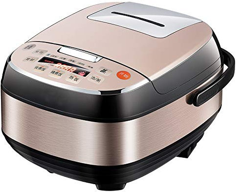 RajoNN 6L Cuiseur à Riz Électrique de Grande Capacité De Poche Maison Soupe De Riz Cuisson Multicuiseur Intelligence Appareil De Cuisine Entièrement Automatique