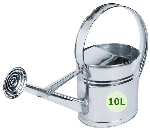 TTL Garden Annaffiatoio in metallo zincato da 10 l – Annaffiatoio in zinco con doccetta svitabile – 10 l di volume ovale in zinco antiruggine – Annaffiatoio acciaio zincato – lamiera argento robusto e