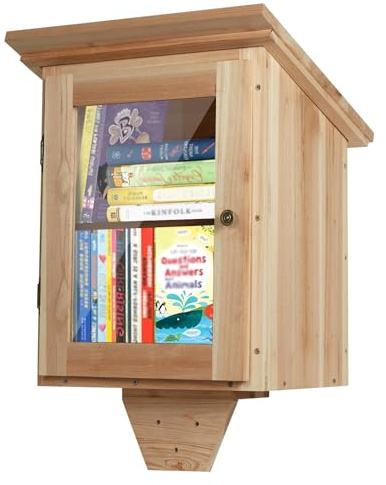 Ecoaterui Little Library Box Outdoor Free Library, Double Little Library Outdoor Box Storage with Shelf for Neighborhoods, Community, Schools Sharing Books, Literature, Flyers, Newspapers, Art