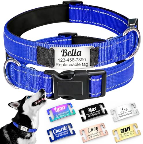 Geräuschloses personalisiertes Hundehalsband mit austauschbarem Namensschild