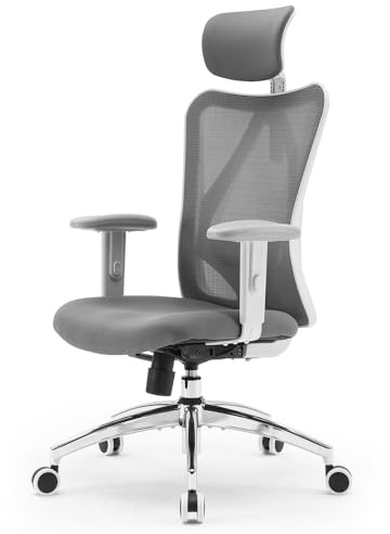 SIHOO – M18 ergonomisk kontorsstol – datorstol med justerbart nackstöd och ländryggsstöd – hög rygg, svängbar styrning – mörkgrå