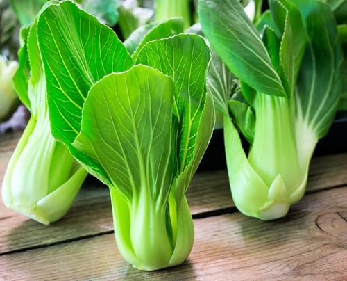 SeedsUP - 300+ Seeds Cabbage Bok Choy Chinese - Vegetable Green